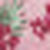 Print pink hibiscus